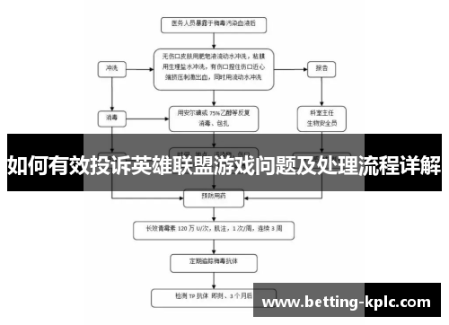 如何有效投诉英雄联盟游戏问题及处理流程详解