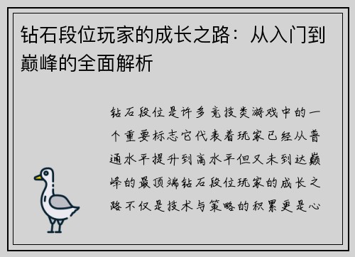 钻石段位玩家的成长之路：从入门到巅峰的全面解析